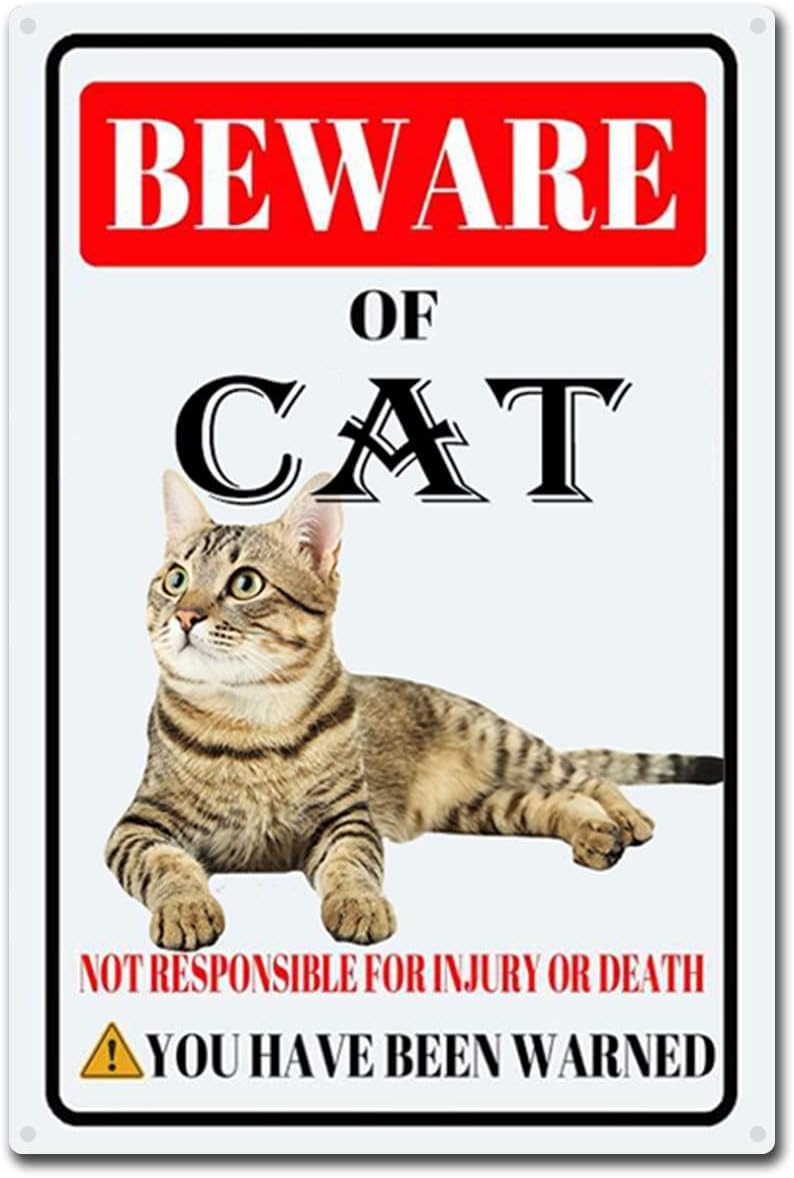 Panneau en métal « Faites atte - Home Decor Cat avis et prix